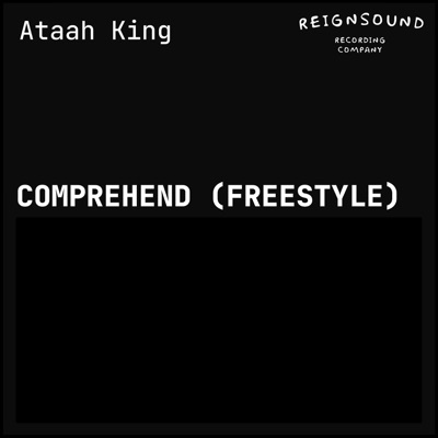 Comprehend (Freestyle) - Single