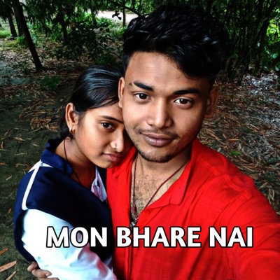 Mon bhare nai - Single
