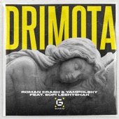 Drimota (feat. Sofia Leshyshak) artwork