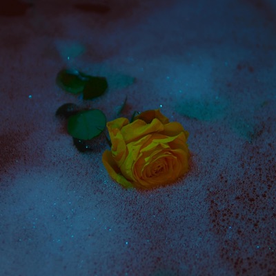 Polpa Di Mango - Single