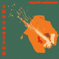 The Feeling - Single - Wyatt Coleman
