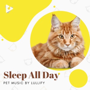 Sleep All Day