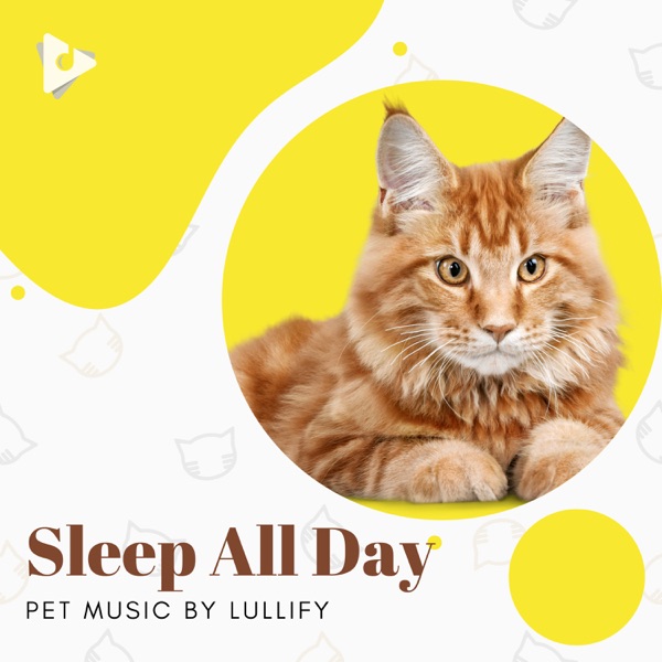 Sleep All Day
