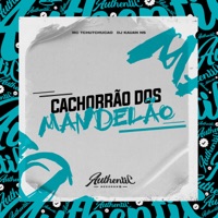 Cachorrão Dos Mandelão - Single - DJ KAUAN NS & MC TCHUTCHUCÃO