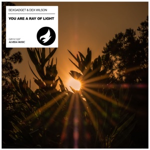 You Are a Ray of Light - Single