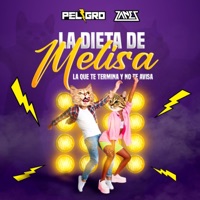Dieta de melisa la que te termina y no te avisa - Single - DJ Peligro & DJ Zanes