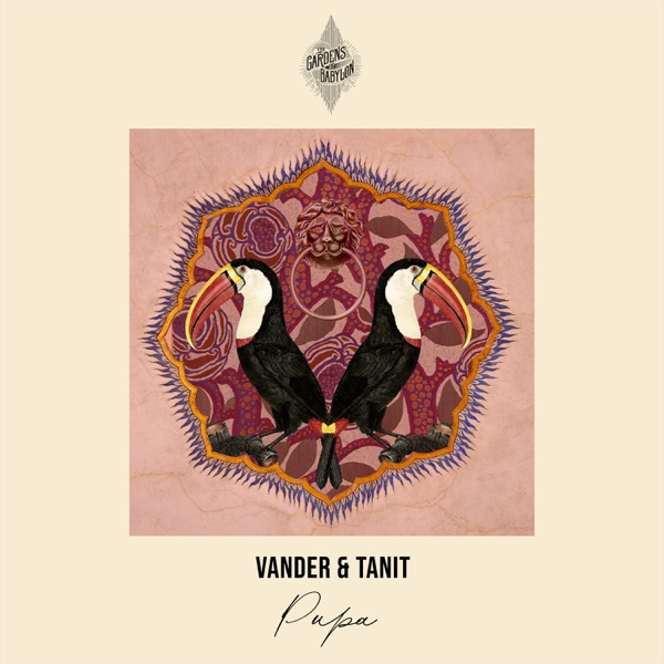 Pupa - Single