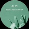 Aquilegia cover art