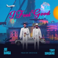 I Feel Good (feat. Tony Sunshine) - Single - Joe Banga