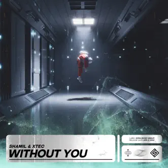 Without You by Shamil & Xtec song reviws