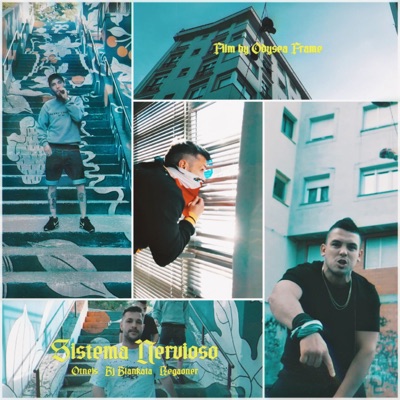 Sistema Nervioso - Single
