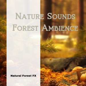 Nature Sounds: Forest Ambience