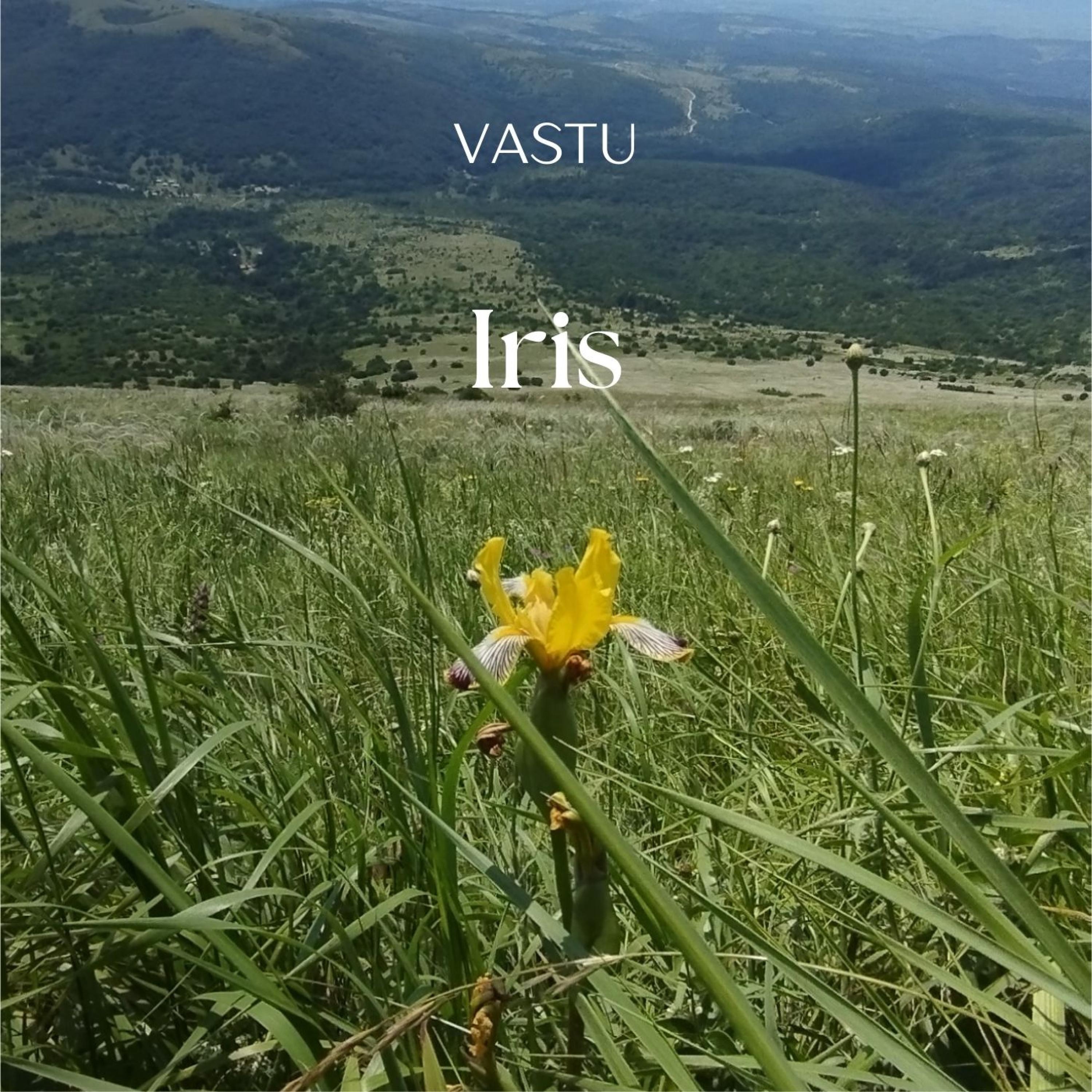 Iris - Single