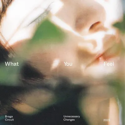 Listen to Unnecessary Changes - Single by Braga Circuit