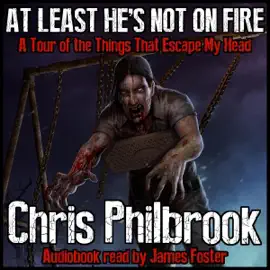 At Least He's Not on Fire: A Tour of the Things that Escape My Head (Unabridged)
