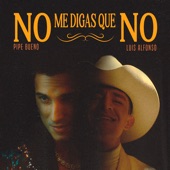 No Me Digas Que No (Remix) artwork