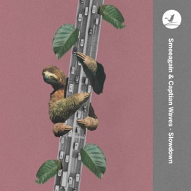 Slowdown Smeeagain & Captian Waves