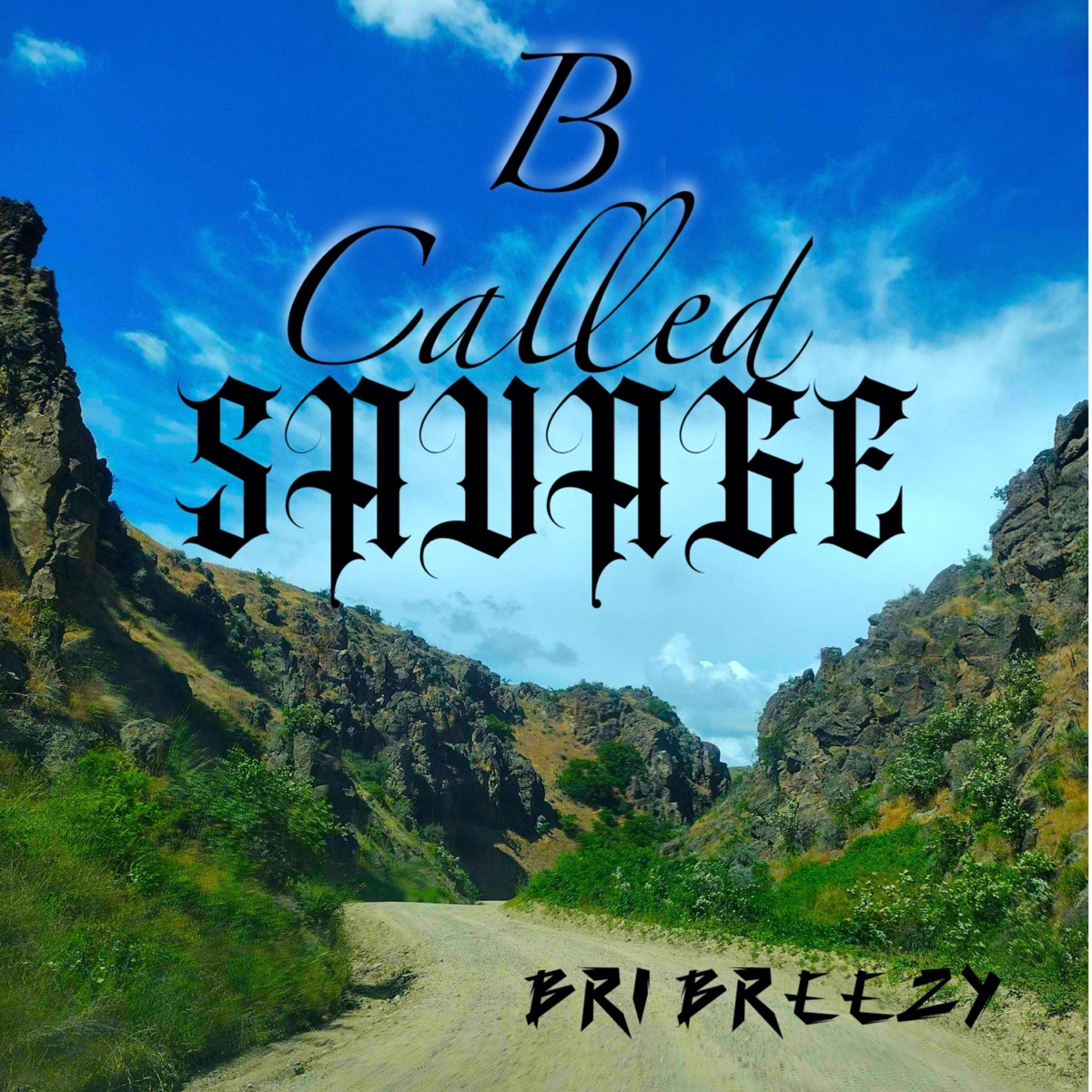 PostScript - Single - Album by Bri Breezy - Apple Music
