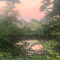 You Don't Know What I Mean - Single - Yung Blunt$