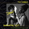 Bamthathil'luvy (feat. Samora_da_chef, TTS & Njabulo) - Single