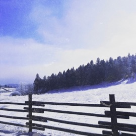 flex up (feat. Z1M & Vrss) ZachMadeThis