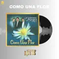 como una flor