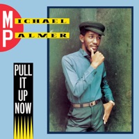 Pull It Up Now - Michael Palmer