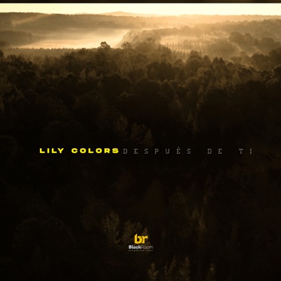 Después de Ti - Single