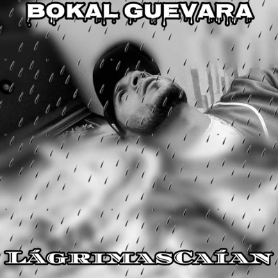 Lágrimas Caían - Single