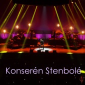 Konserên Stenbolê artwork