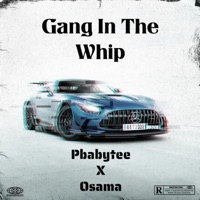 Gang In The Whip (feat. Osama) - Single - tee2