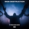 BIOS DESTRUCTION - Freedom