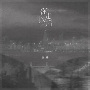 你走以后 - Single