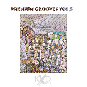 Premium Grooves, Vol. 5 (DJ Mix)