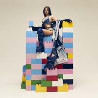 Lego Blocks - Single - NERIAH