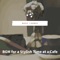 The Cloud - Nuvo Lounge lyrics