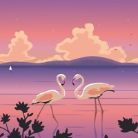 Getting It On (feat. Noah Slee & Ashton Sellars) - Single - SORRENTO