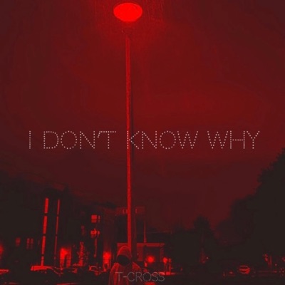 I don't know why (feat. Victor Beng) - Single