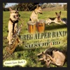 Greg Alper Band