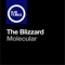 Molecular - The Blizzard lyrics