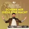 Schenk' mir diese eine Nacht (feat. Brunner & Brunner) artwork