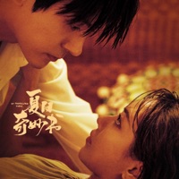 电视剧《夏日奇妙书》影视原声带 - EP - 张岑皙, Fei & 魏哲鸣