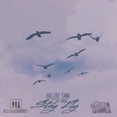 Stay Fly (feat. Big Smoke) - Single