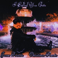 I Called You Cute (Christmas Remix) - Single - Josue Frausto