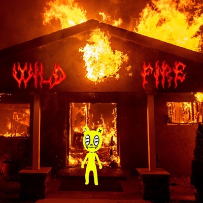 Wild Fire - Single