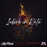 Iubire in Rate - Single - Iuly Neamtu & Ministerul Manelelor