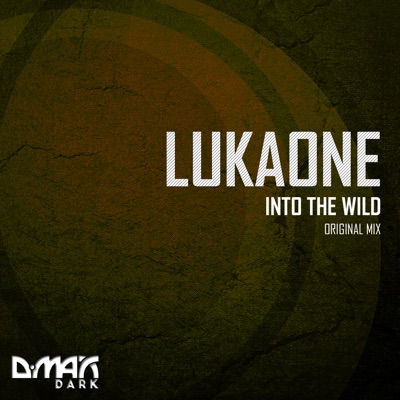 Into the Wild - Single