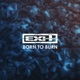 Born to Burn Single