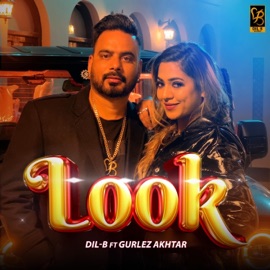 Look (feat. Gurlez Akhtar) Dil B