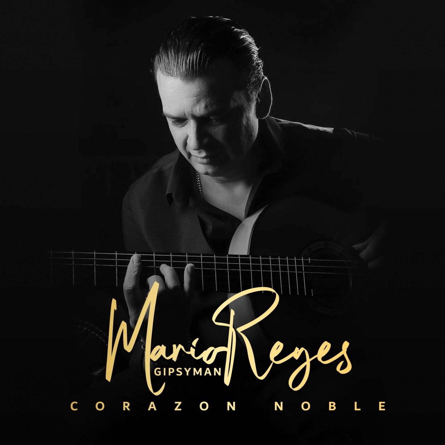 Corazón noble